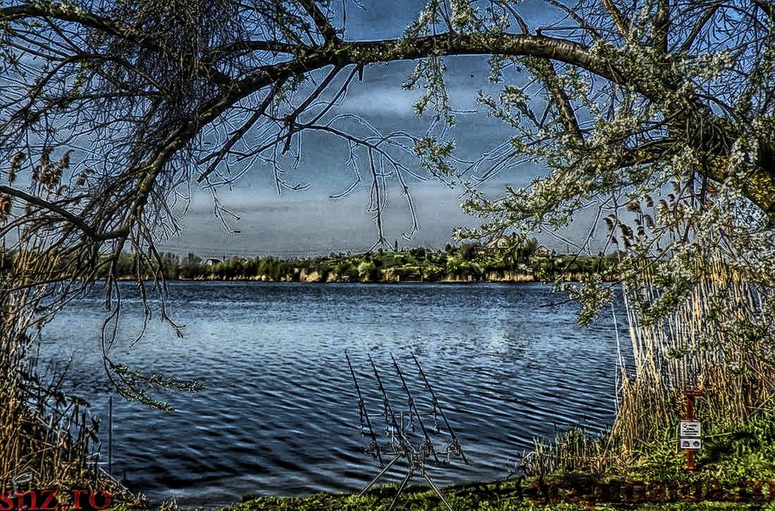 Cupa SBS (2) - 2013 - 1011418hdrmode2.JPG